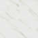 Calacatta 12" x 24" Porcelain Field Tile