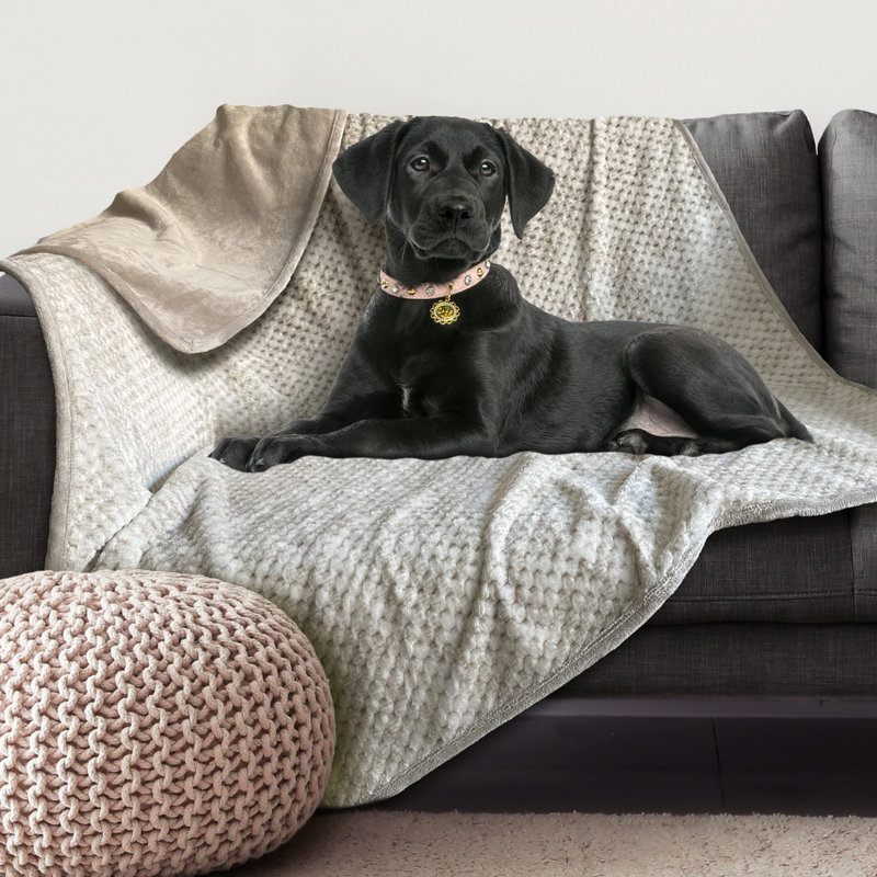 Light Gray Waterproof Reversible Plush Pet Blanket 60" x 70"