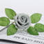 Centre de table Mack Roses-88562626