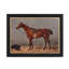English Riding Horses Framed Print