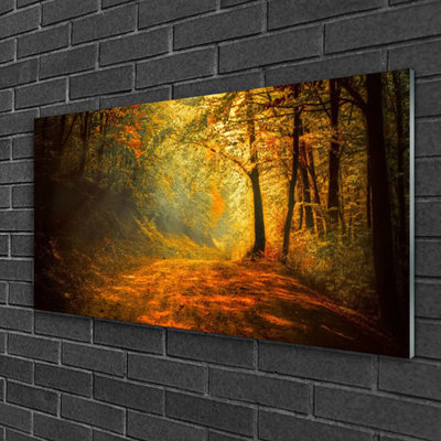 Forest - No Frame Print on Glass