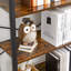 6 Tier Bookcase With Steel Frame-1675943748-1675943749