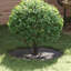 Tree Ring Decorative Garden Modern Protector Outdoor Ornament Base Home-418723726-418723712