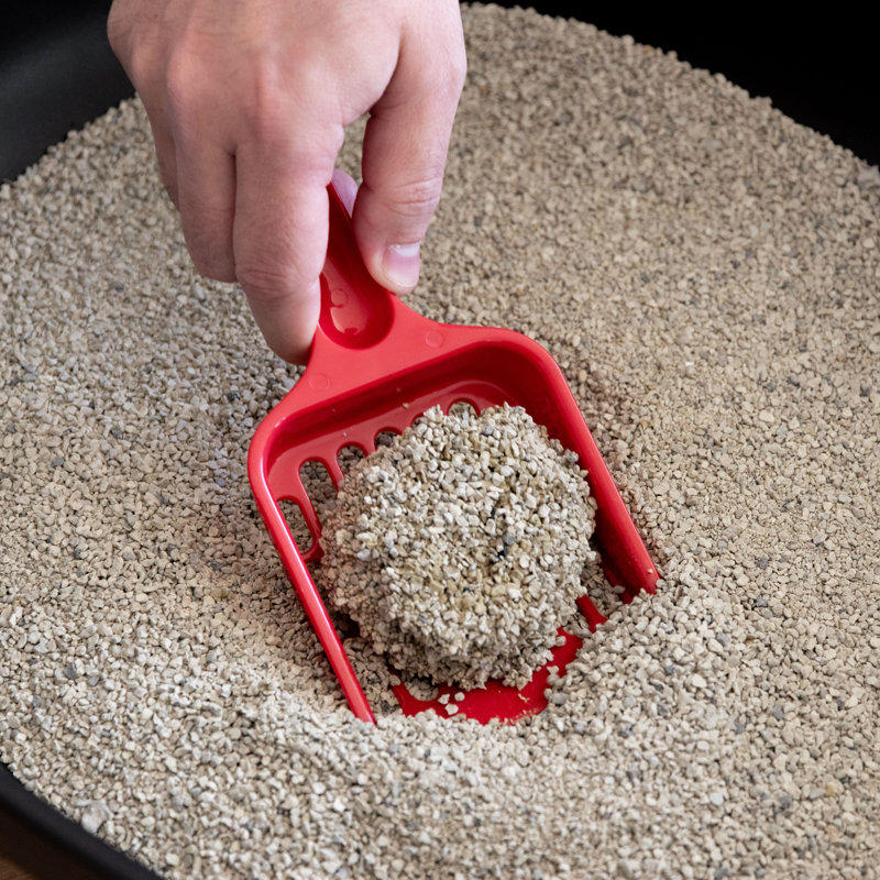 Black Shielded Plastic Cat Litter Pan with Scoop