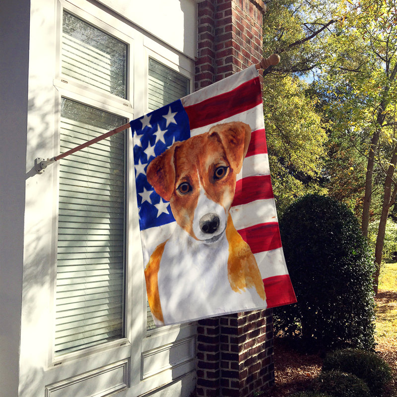 Drapeau de maison en polyester à 2 côtés Shahnur, Jack Russell terrier brun