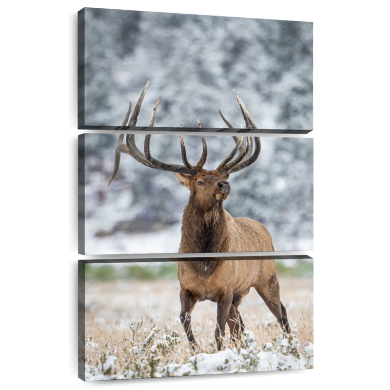 Brampt Mighty Snow Elk, 74" H x 48" W