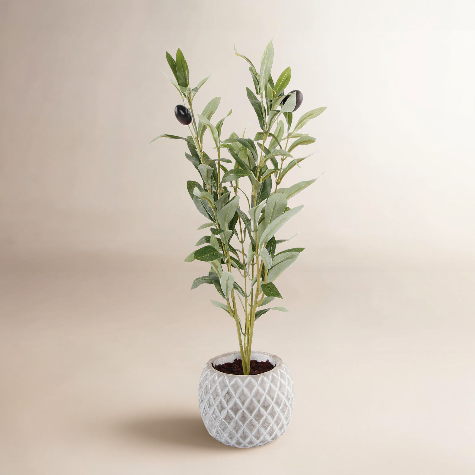 Olive 14'' Faux Olive Tree Plant in Cement Pot