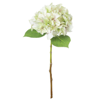 Hydrangea Arrangement