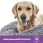 Silentnight Calming Plush Donut Pet Bed-93676162-108771586