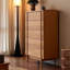 Commode décorative minimaliste moyen moyen