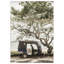 Tuk Tuk by Shot by Clint Wood Framed Wall Art Print-1030723899-1030723902