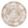 Coblitz Oriental Indoor Rug