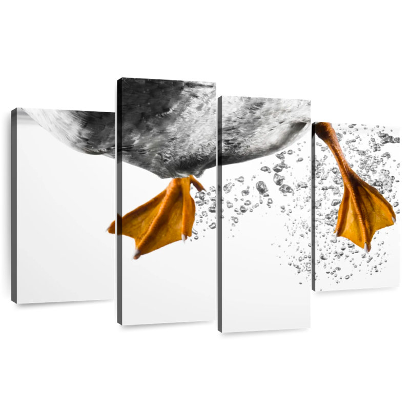 Brampt Duck Feet Underwater, 27" H x 43" W