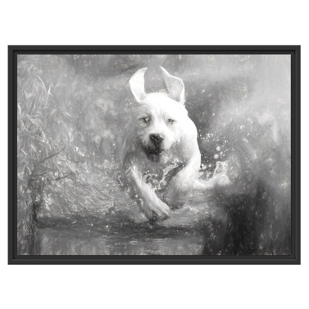 Gerahmtes Wandbild Labrador-Welpe Wasser