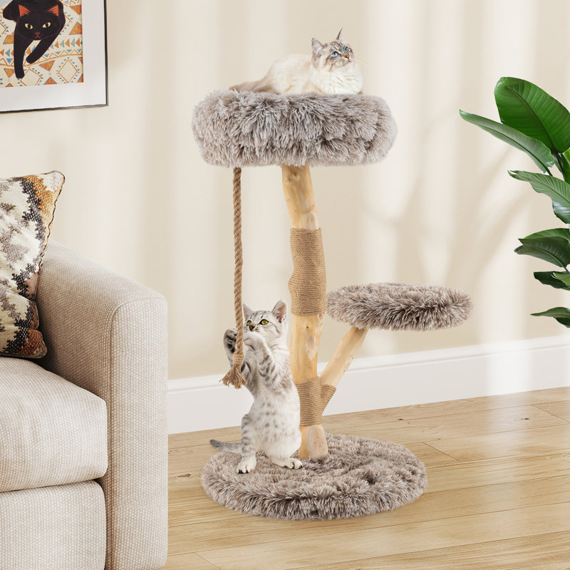  Arbre à chat en bois massif avec grattoir perchoir
