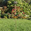 Paloma Weather Resistant No Holiday Outdoor Decoration