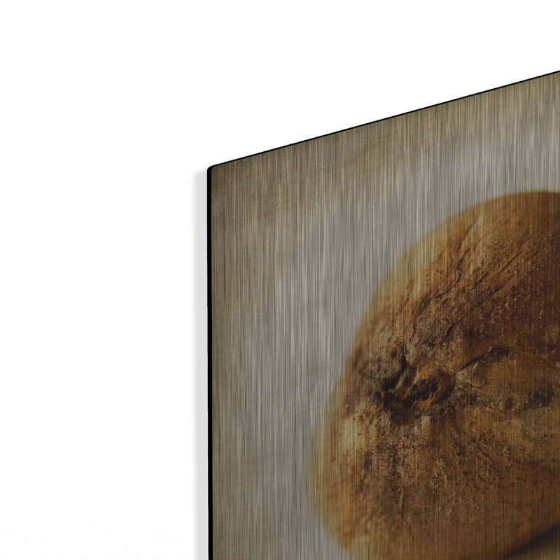 Gracie Oaks «Oak Pods 4» par Jessica Rogers, art mural en métal, H 12 po x l 12 po