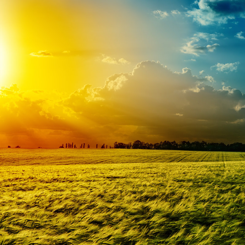 Bukovany Sunset over Green Field 1 Piece Wrapped Canvas Wall Art, 30cm H x 30cm W x 3.8cm D