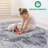 2X3 Area Rug Non-Shedding Stain Resistant Medallion For Coastal Decor-853734562-853734560