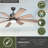 Olney 60 in. Black Indoor Outdoor Rod Mount Contemporary Ceiling Fan with Reversible Black-Driftwood Blades, Dimmable Integrated LED Light Kit and Remote Control, 6 Speeds, Energy Efficient DC Motor-158376680