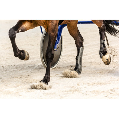 Harness Racing Close-Up by Zoran Kolundzija