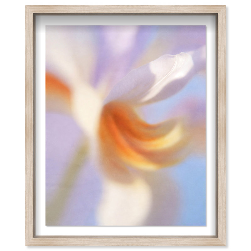 Blurred Venus II Print by Oliver Gal, 17.5"H x 21.5"W, Natural Oak Shadowbox