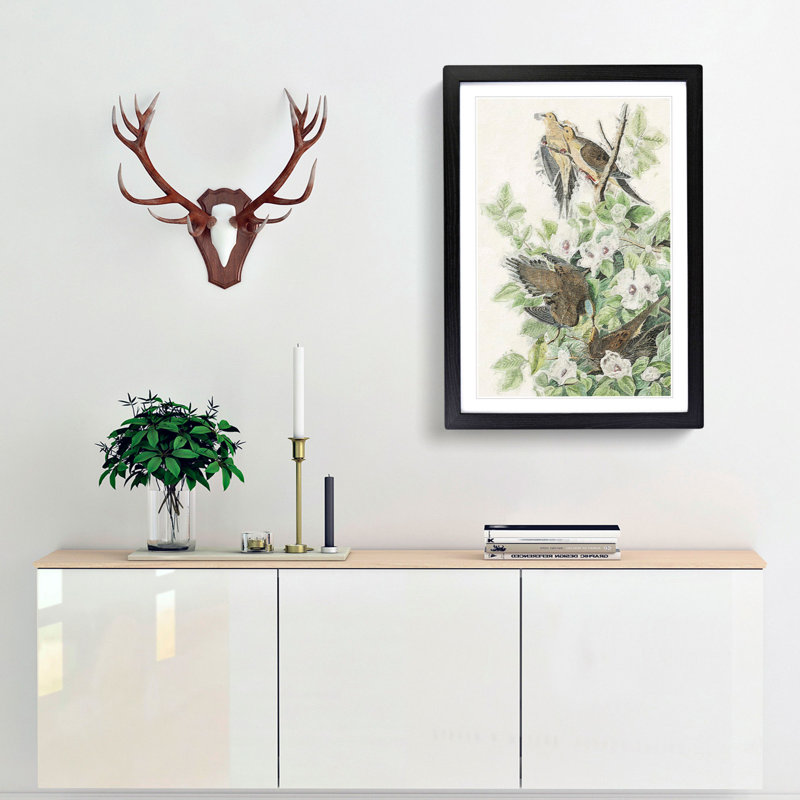 Carolina Pigeons by John Audubon - Picture Frame Painting Print, 36cm H x 27cm W x 2cm D, Black Framed