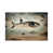 Toile tendue