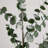 40in. Artificial Eucalyptus Stems, Set of 3