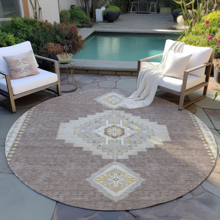 Machine Washable Indoor/Outdoor Chayden ACN1014 Rug