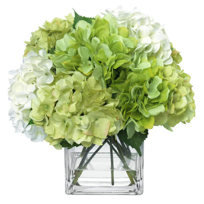Blooms Green And Cream Hydrangeas In Glass Cube Vase