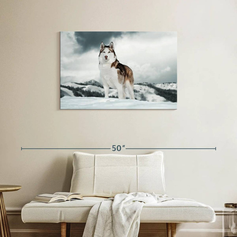 Majestic sibérien Husky, H 24 po x l 36 po