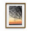 Sunset Tree Print by Joseph Regan-66910857-66910864