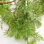 Hanging Plants 30cm Faux Mixed Assortment Garland