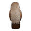Hibou fauve Graig