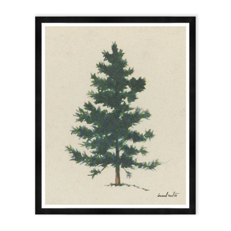 Evergreen - reproduction de cadre photo
