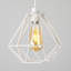 Carnegie 20cm H Metal Novelty Pendant Shade ( Clip On )-40179701