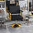 Hydraulic Salon Chair - 360° Swivel Barber Stylist Chair With Pump, Non-Tilting Hairdressing Chair For Hair Salons, Tattoo & Beauty Spa (Professional Stylist Equipment)