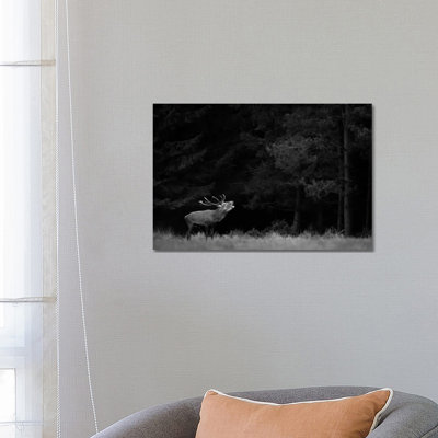 Deer 1 Piece Wrapped Canvas Wall Art