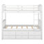 Lit superposé simple en bois avec lit gigogne et tiroirs-359329899