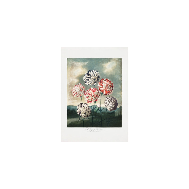 Wrapped Canvas Print, 76.2cm H x 50.8cm W