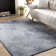 Jayson Oriental Indoor Rug