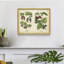 «Kitchen Fruits III», reproduction encadrée-632713074