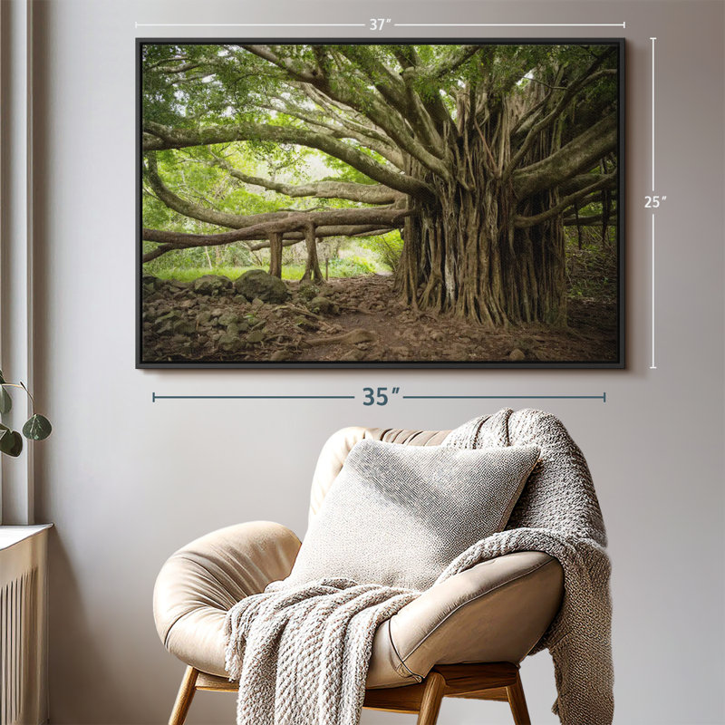 Impression sur toile Banyan Tree, H 25 po x l 37 po