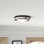 Aaru 2-Light Ceiling Light in Matte Black