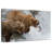Brampt Grizzly Bears Hunting Fish-107851086