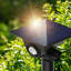 Solar Powered Integrated LED Pathway Light