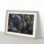 Plant Leaves - Framed Print-56758625-56758626