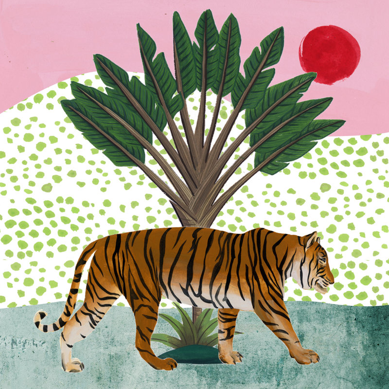 Tiger At Sunrise I by Melissa Wang - Wrapped Canvas Painting, 30cm H x 30cm W