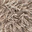 Cyrah Beige Rug-564409018